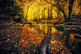 深秋的小溪