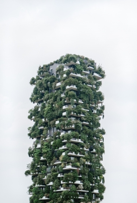长满绿色植物的塔楼