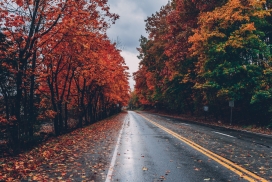 美丽的秋季公路