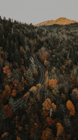 马路的秋季公路美景图