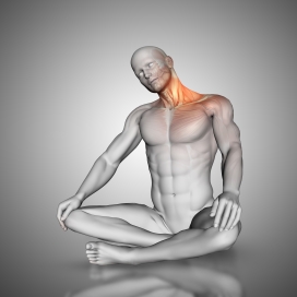 脖子疼痛的坐立人体结构图