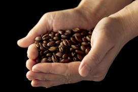 双手捧咖啡豆
