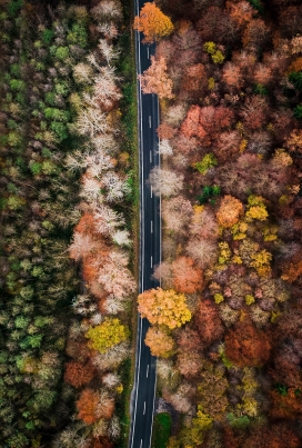 美丽的秋季森林公路
