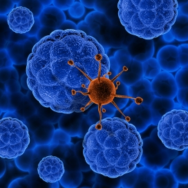 病菌细胞图