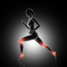 奔跑中的女性人体结构图