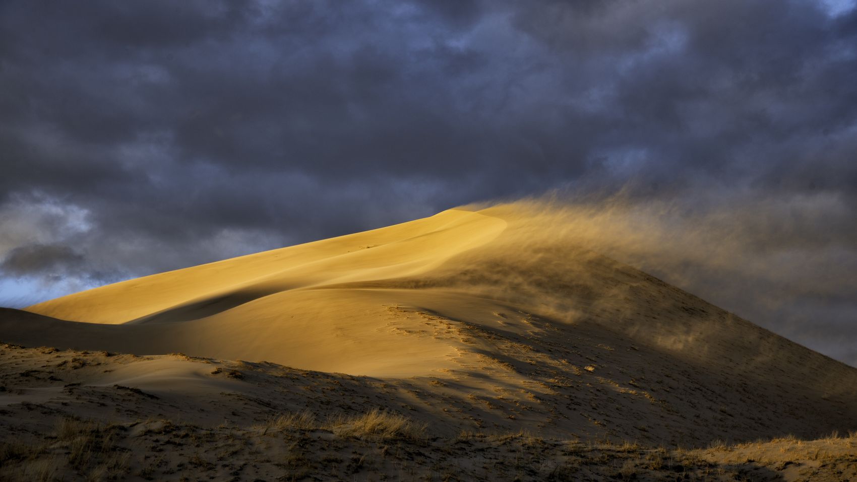 被风吹起的沙丘图片