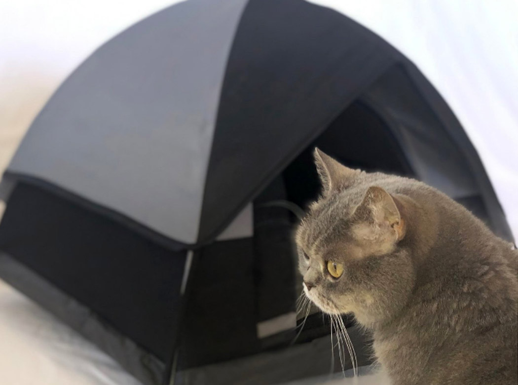 和猫一起露营的迷你帐篷---酷图编号4