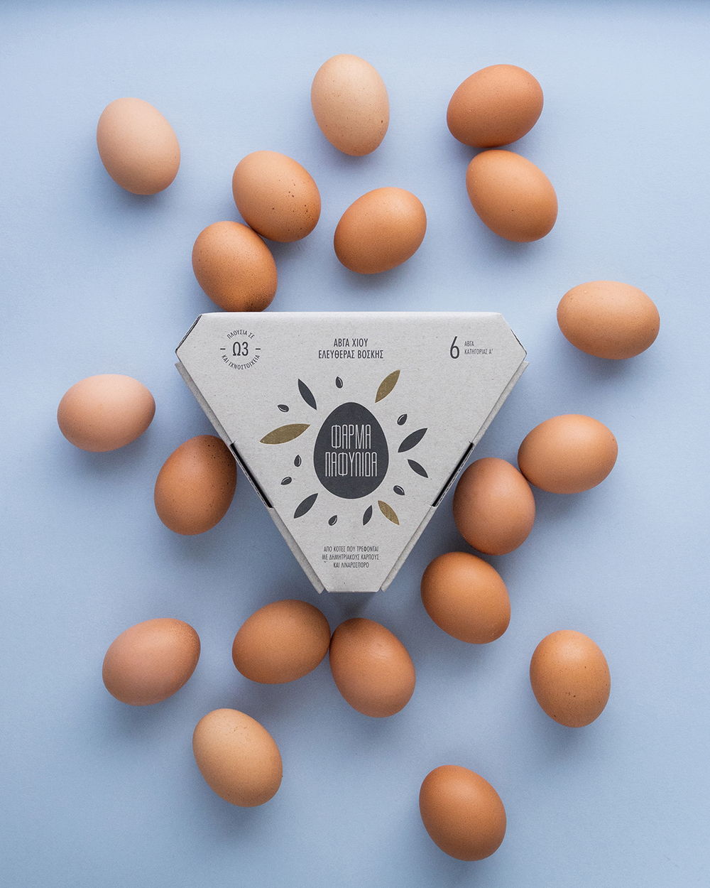 独特菱形空间的鸡蛋盒子---酷图编号3