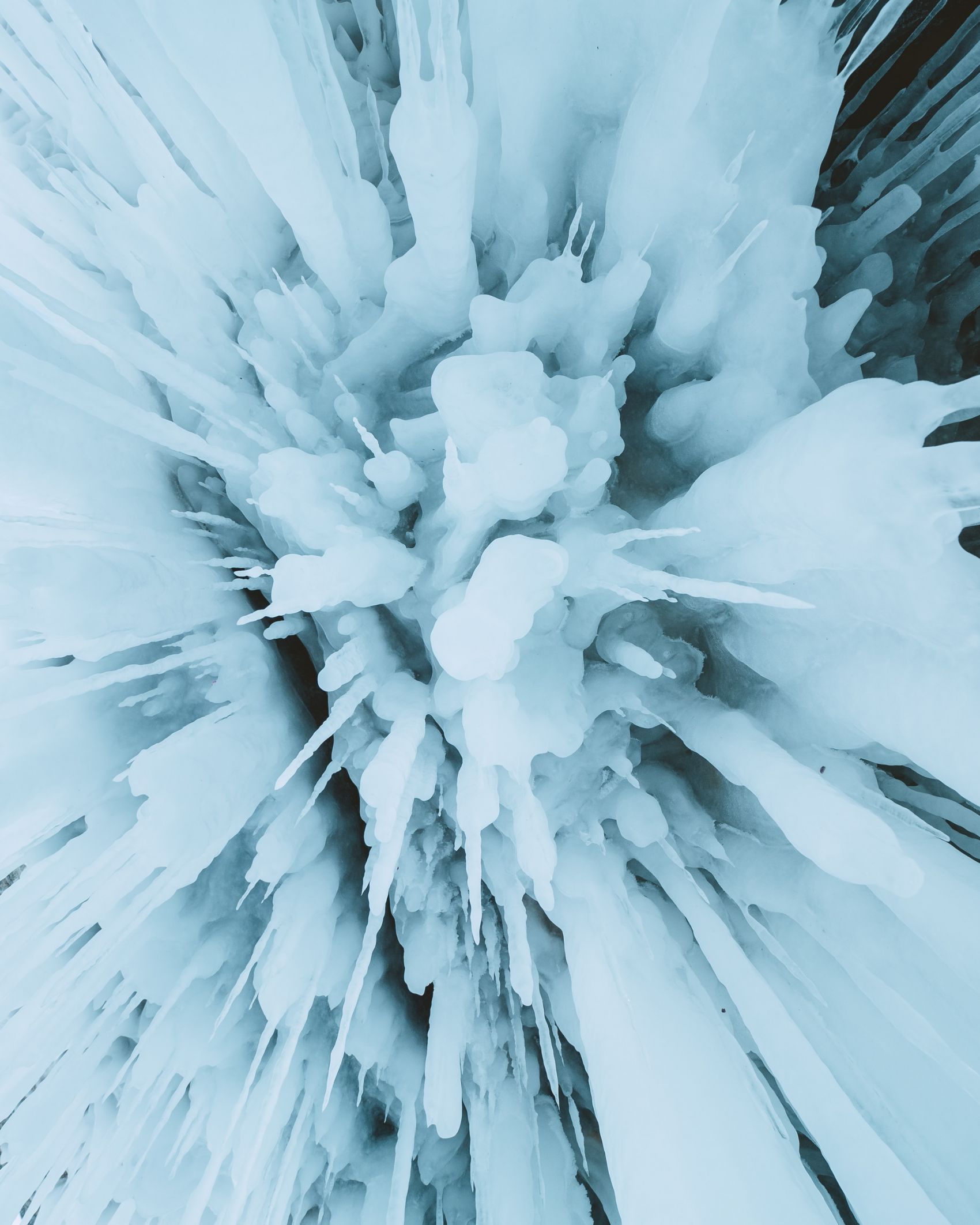 冬天的冰晶图片桌面壁纸_树枝上的冰晶图片壁纸_三千图片网