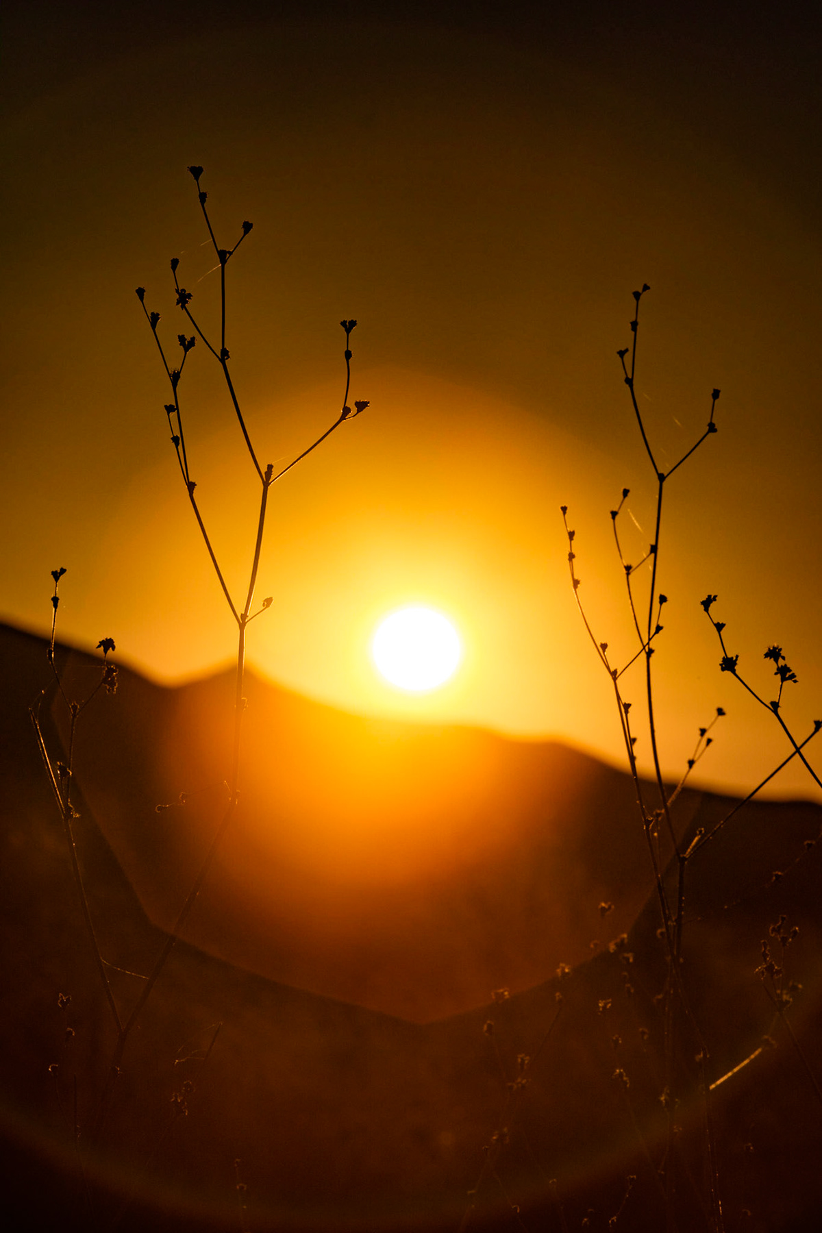 Death Valley-极端之地-死亡之谷---酷图编号60