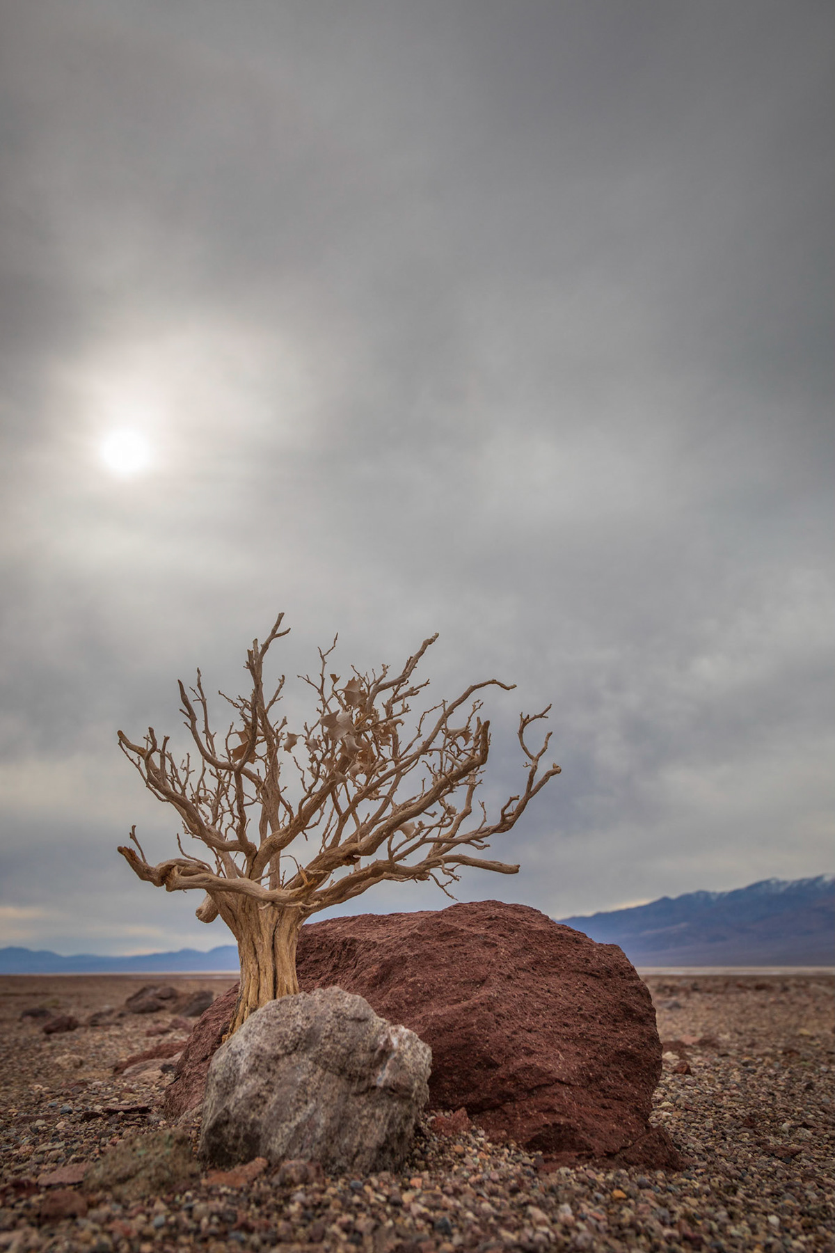 Death Valley-极端之地-死亡之谷---酷图编号20