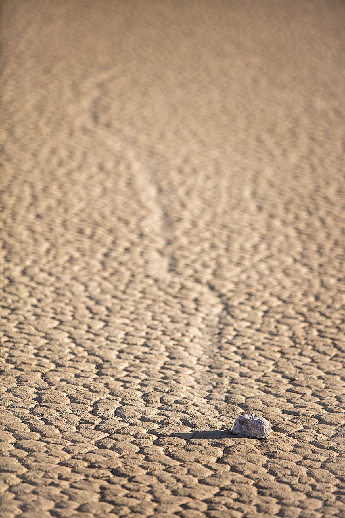 Death Valley-极端之地-死亡之谷---酷图编号13