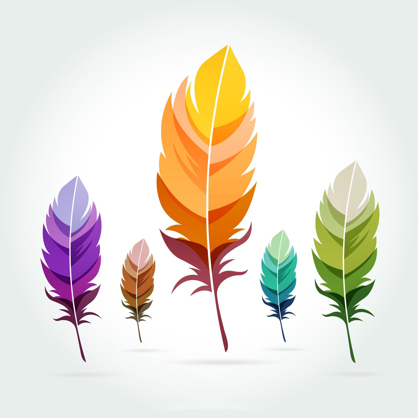 五颜六色的羽毛图片