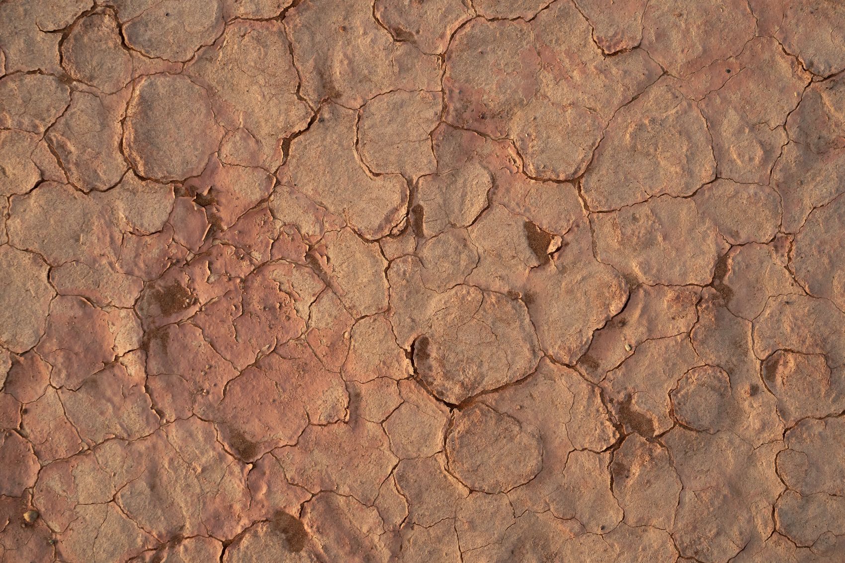 干枯的大地图片