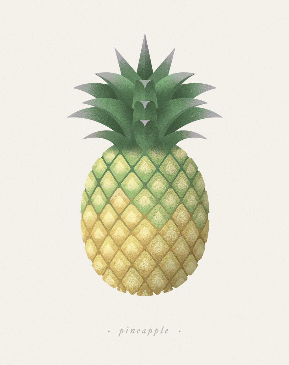 Fruits & Vege-水果和蔬菜插图---酷图编号23