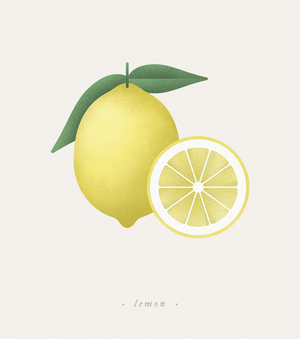 Fruits & Vege-水果和蔬菜插图---酷图编号17