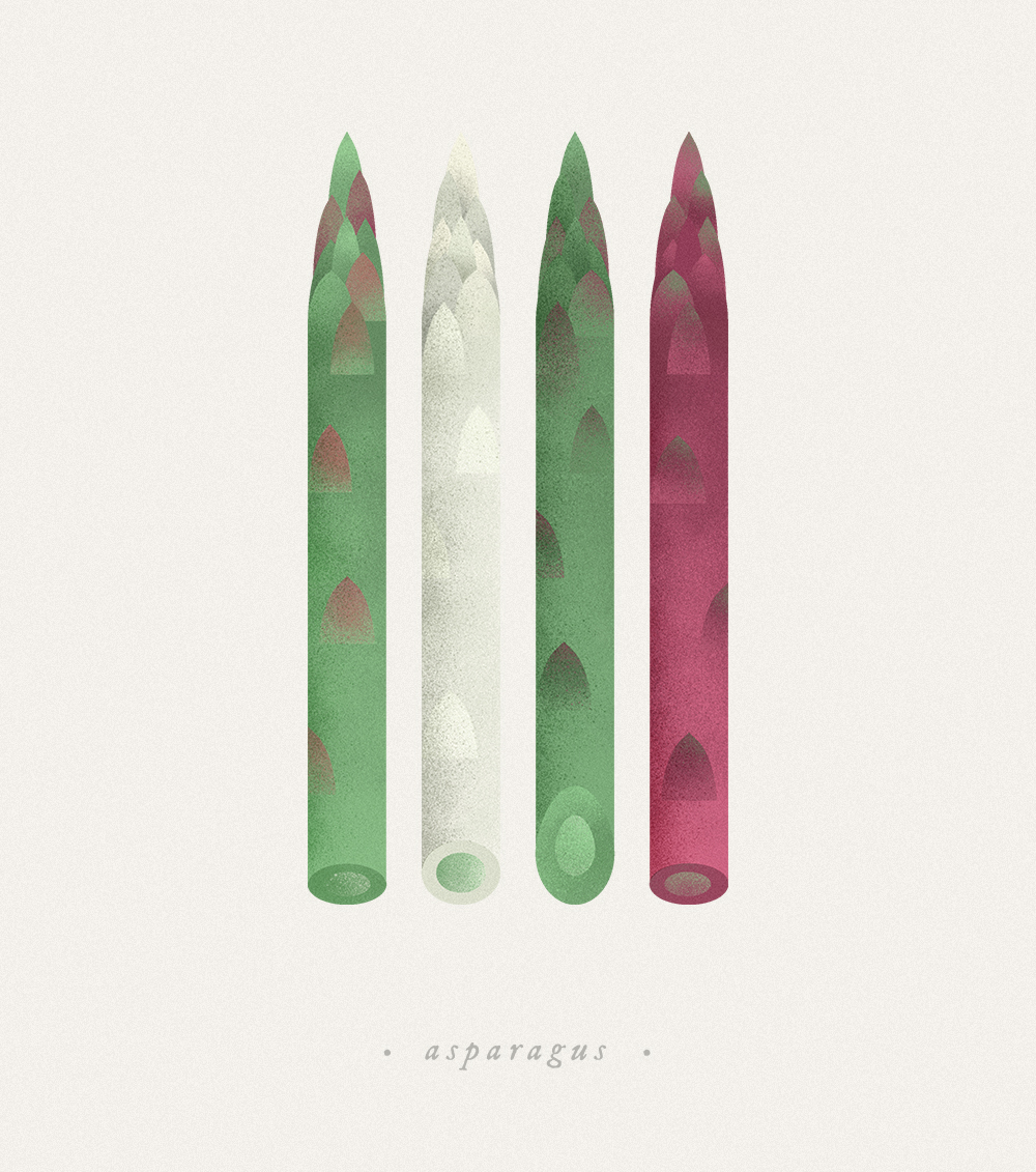 Fruits & Vege-水果和蔬菜插图---酷图编号16