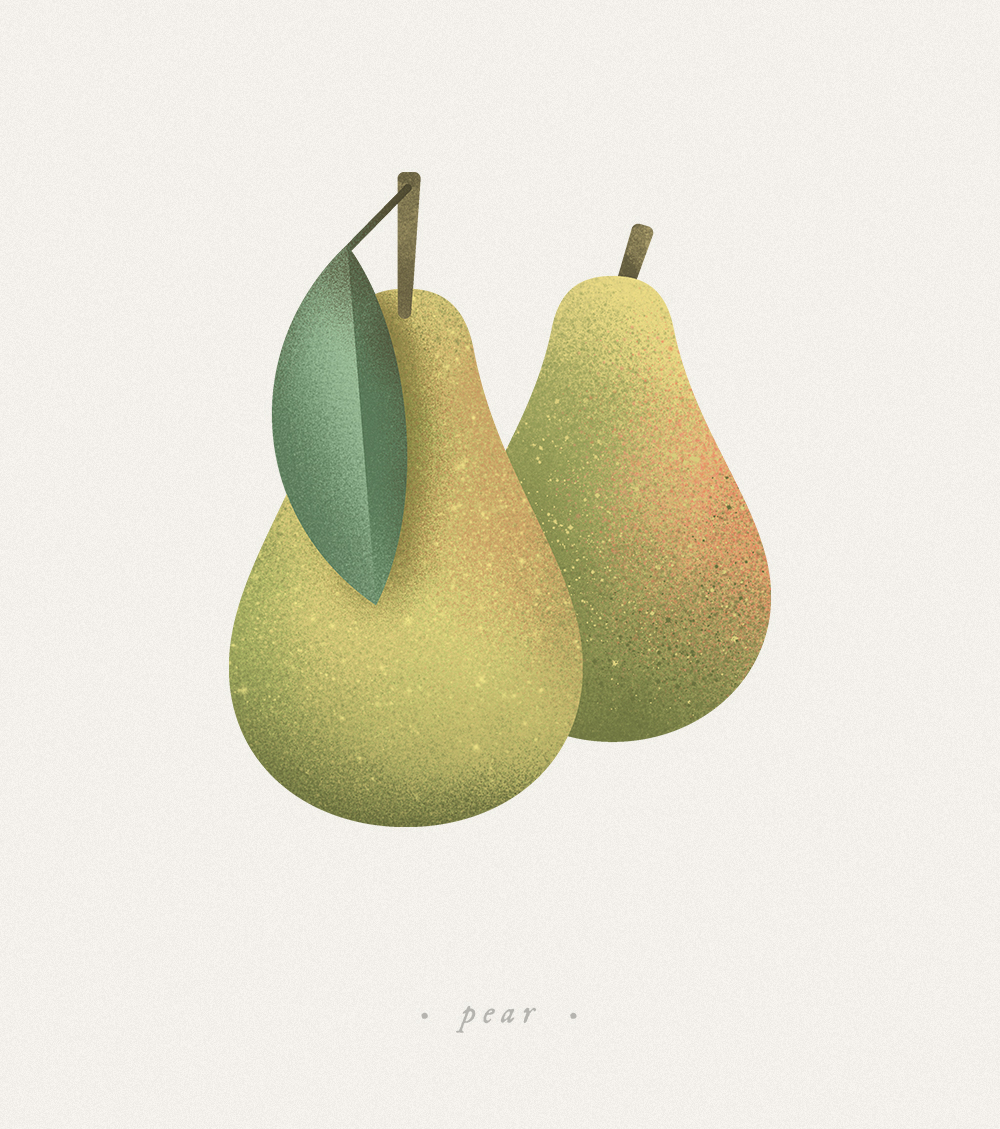 Fruits & Vege-水果和蔬菜插图---酷图编号14