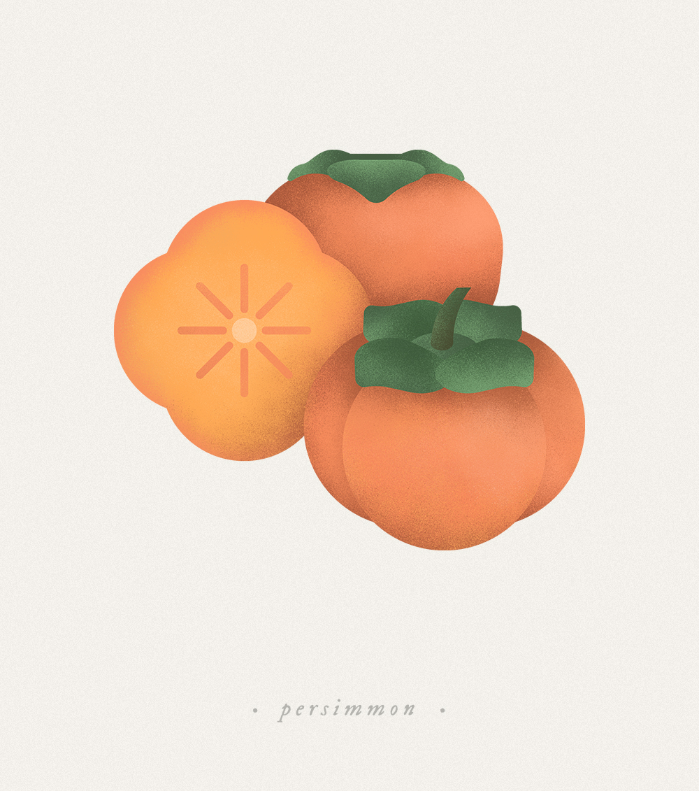 Fruits & Vege-水果和蔬菜插图---酷图编号1