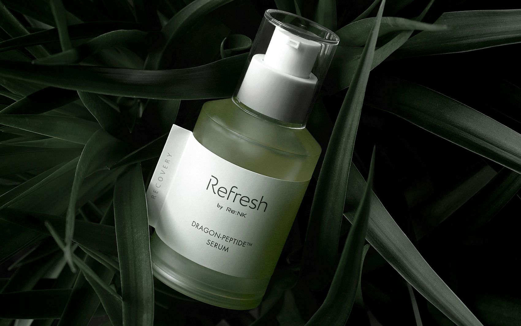 Refresh-护肤品图片