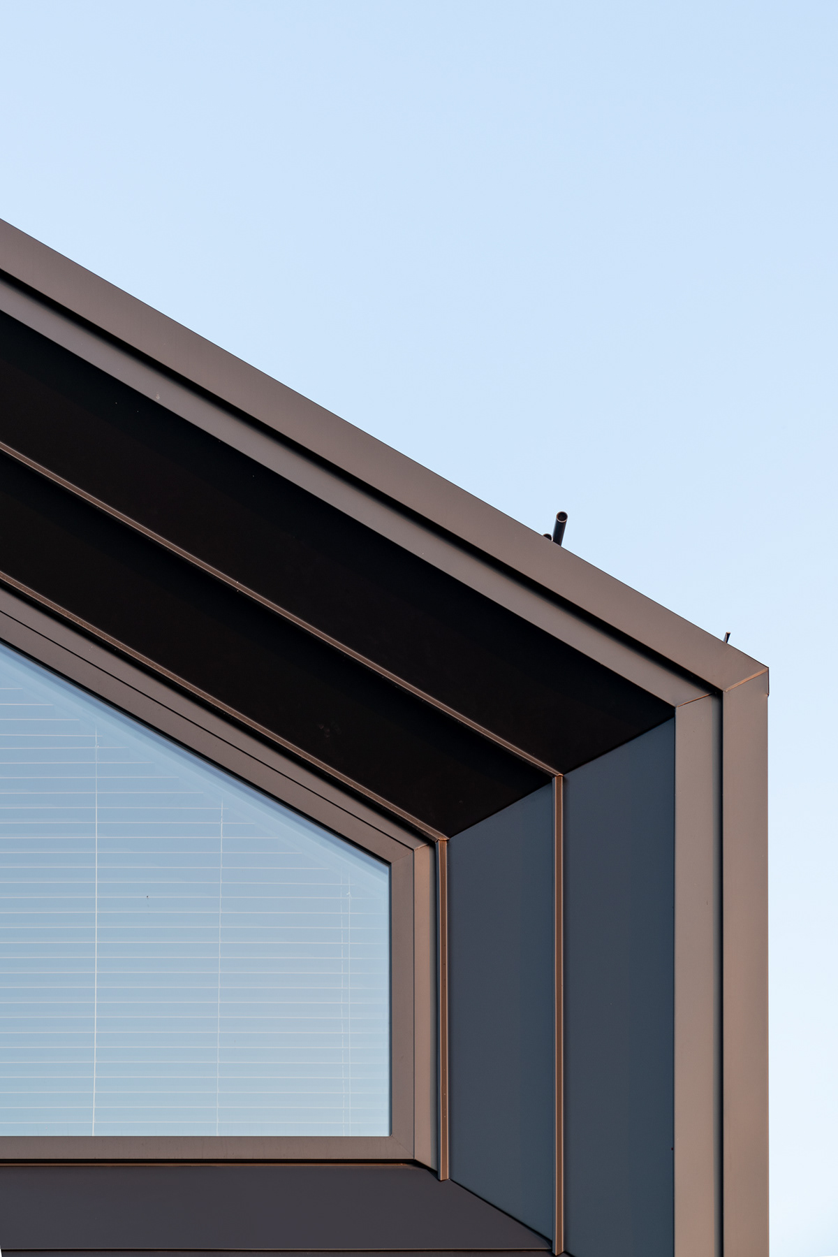 Archispektras大家庭住宅---酷图编号16