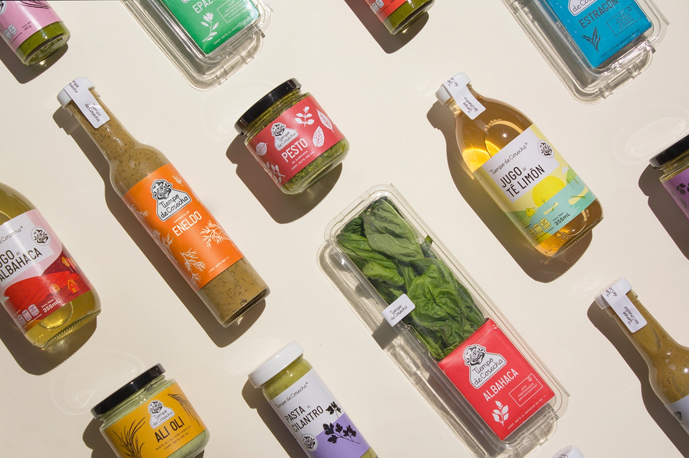 新鲜药草酱汁系列图片