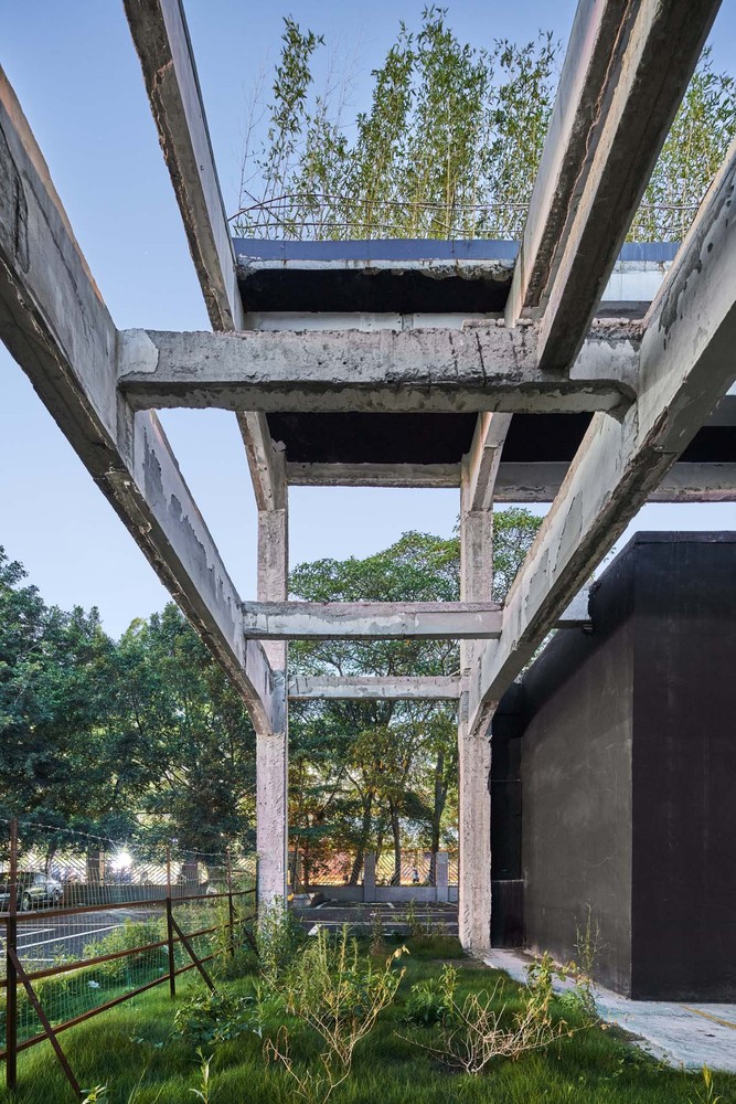 深圳1000平米的桥头废墟花园---酷图编号26