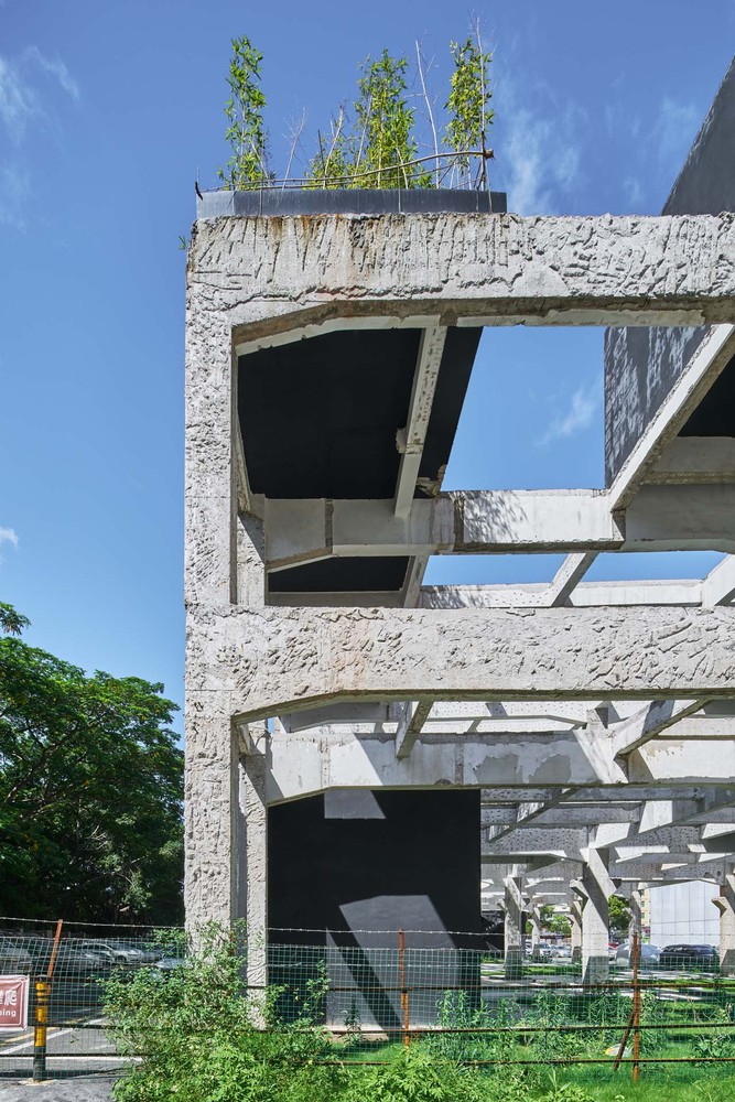 深圳1000平米的桥头废墟花园---酷图编号13