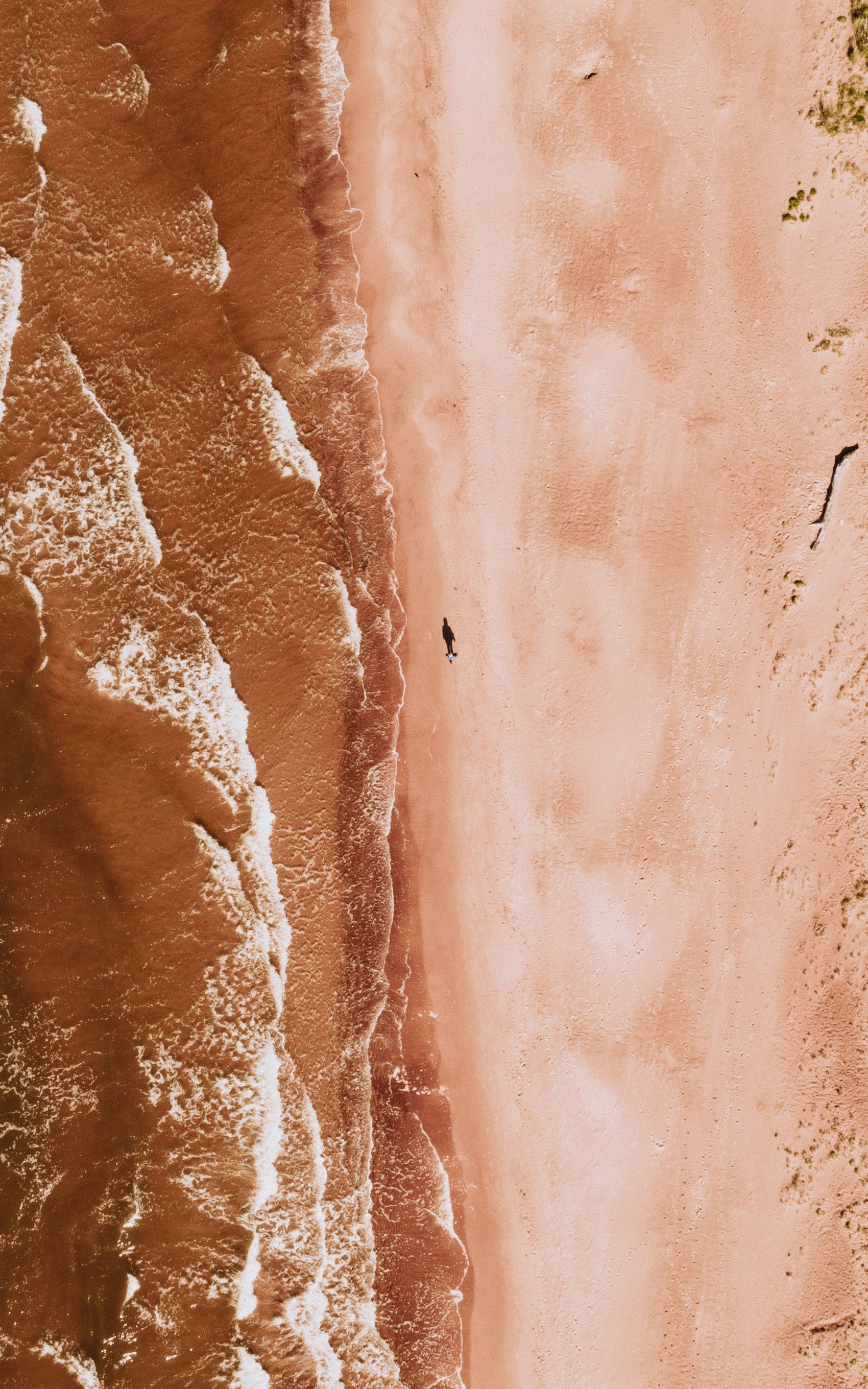 棕黄色的海滩图片图片