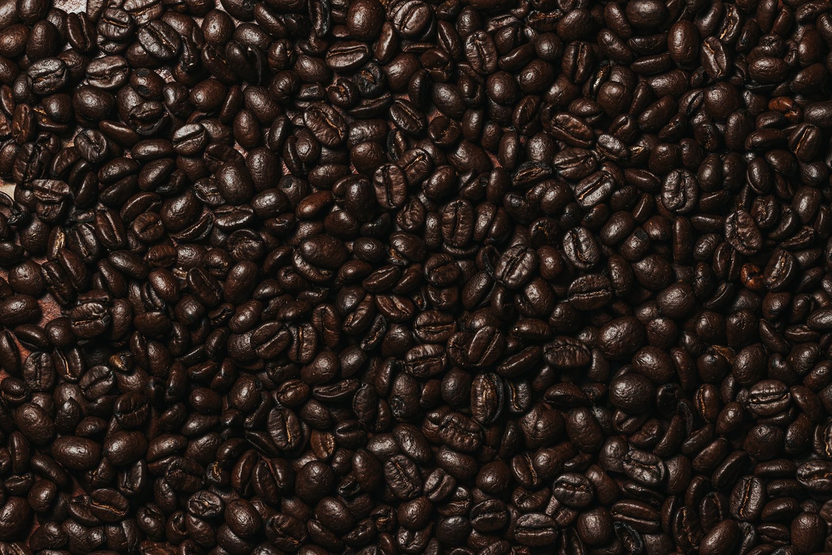 蓝山咖啡风味咖啡炭烧咖啡豆即饮咖啡饮料罐装拿铁黑咖|摄影|美食摄影|YUHUA羽画 - 原创作品 - 站酷 (ZCOOL)