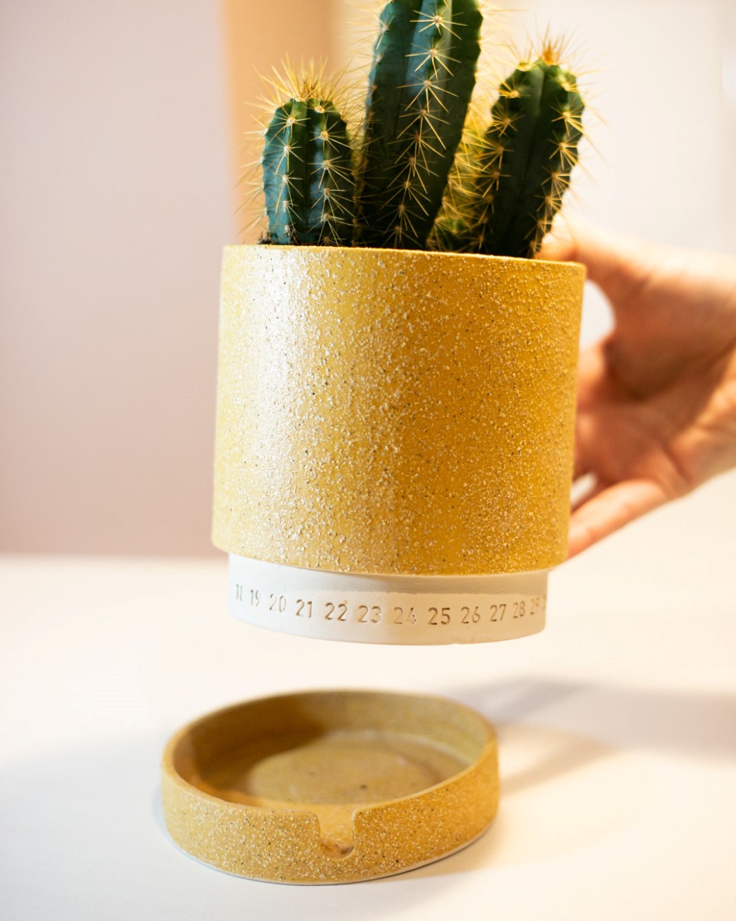 “勿忘我”-让您知道最后浇水时间的创意播种机---酷图编号3