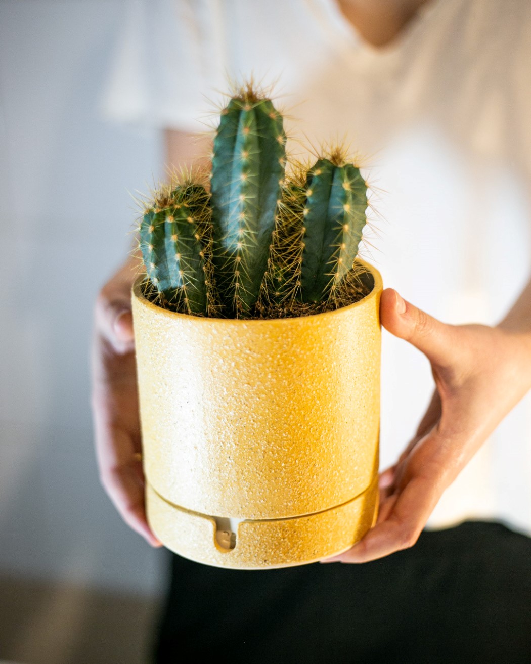 “勿忘我”-让您知道最后浇水时间的创意播种机---酷图编号2