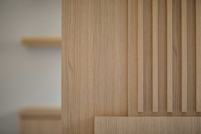 以天然材料为重点的多伦多简约住宅---酷图编号1329915