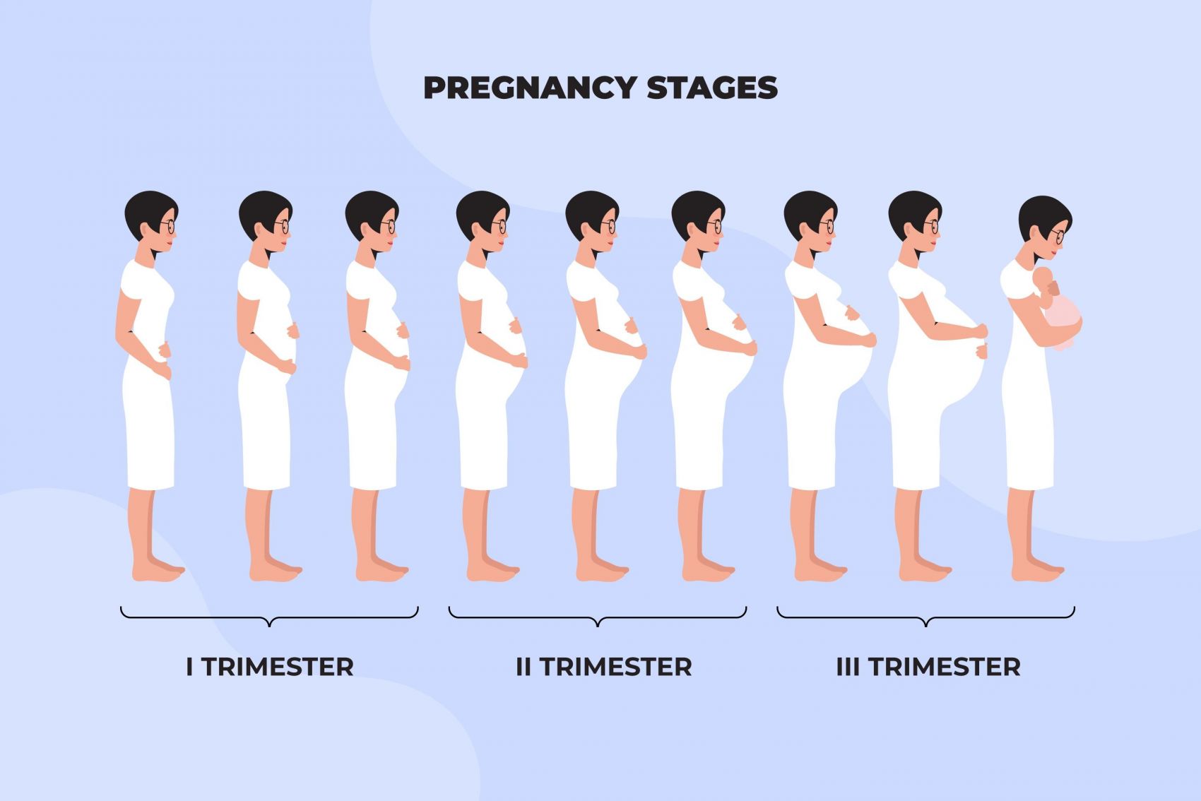 怀孕阶段矢量素材下载图片