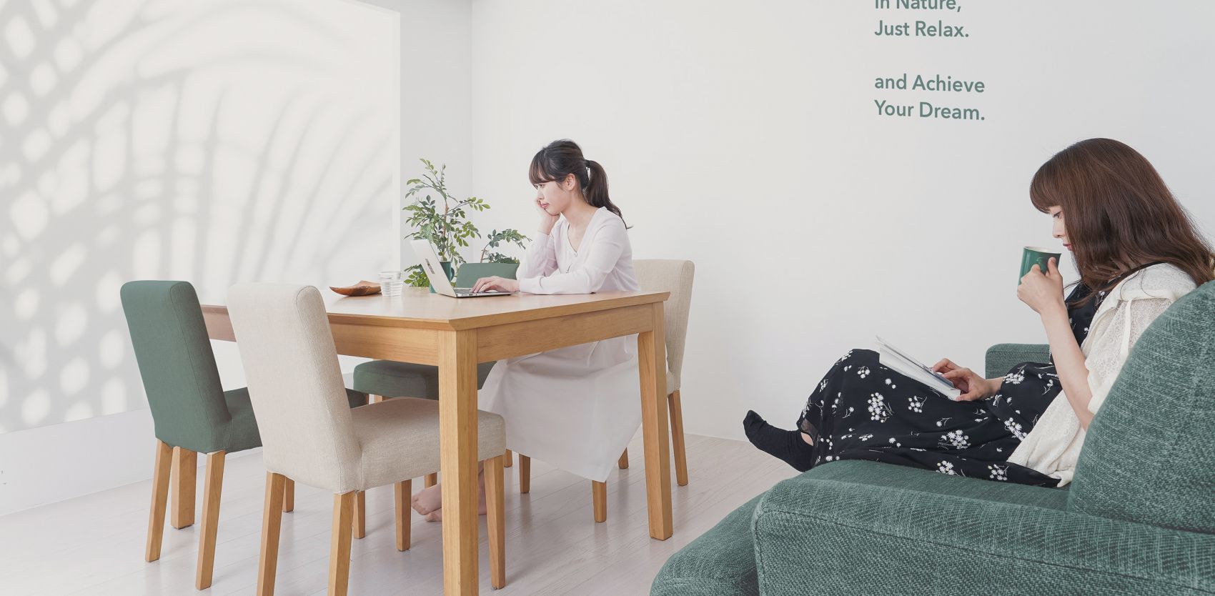 The Green Study-绿叶研究所封面大图