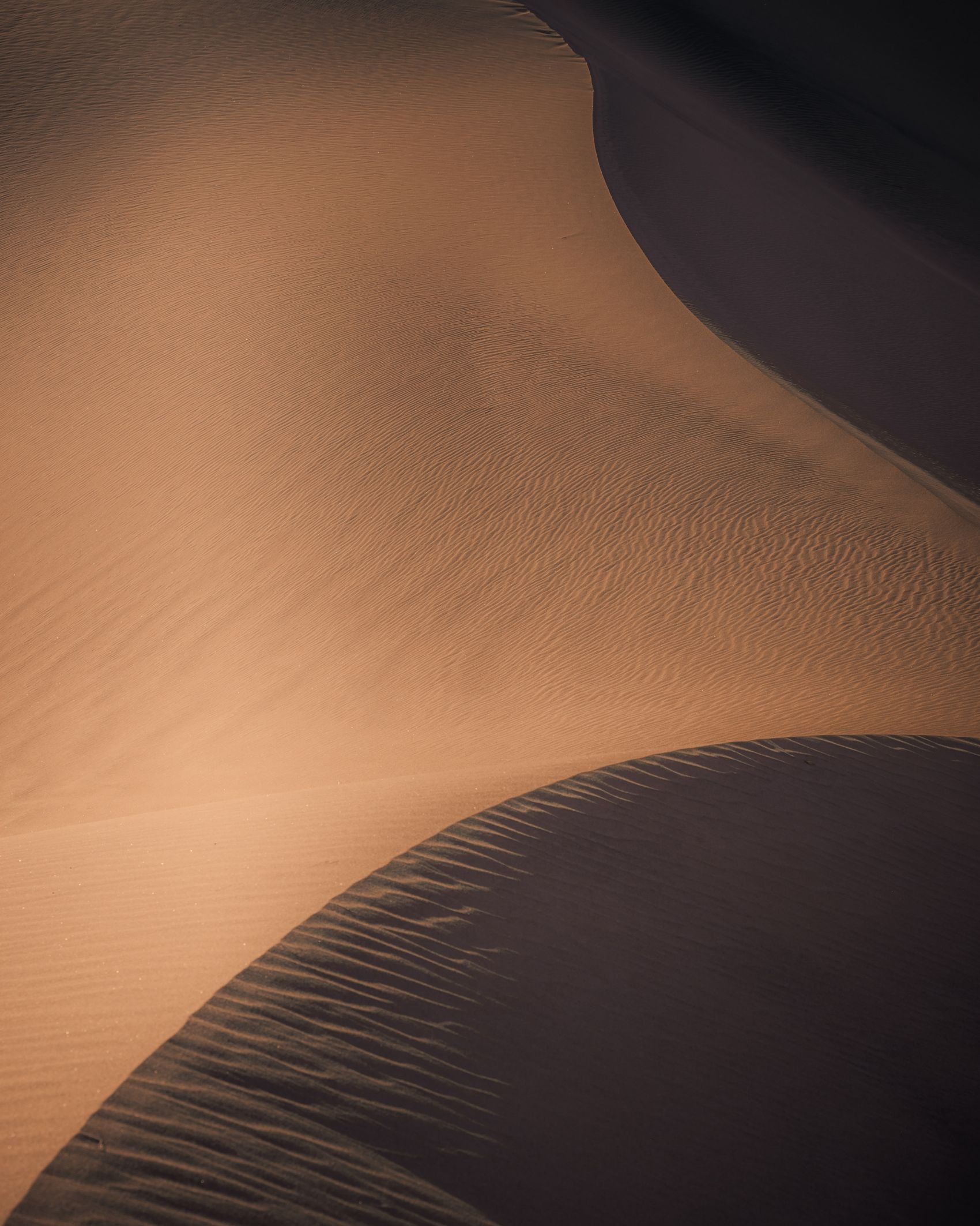 金色波浪形沙漠图片