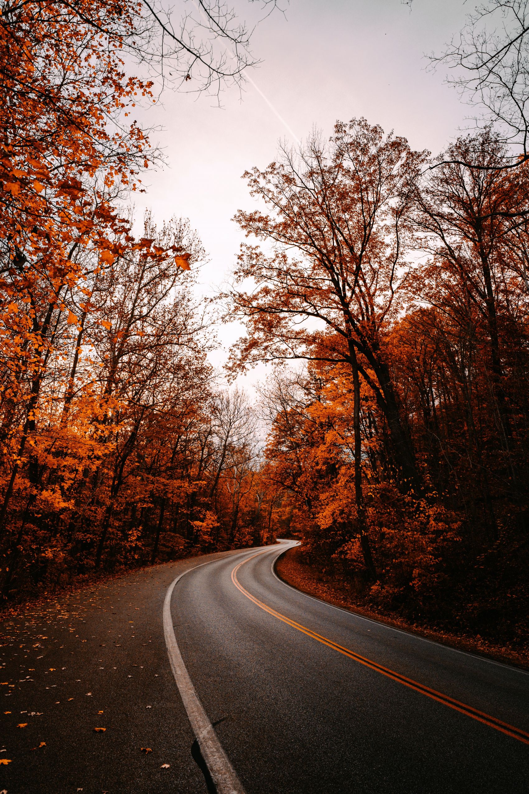 美丽的秋季公路