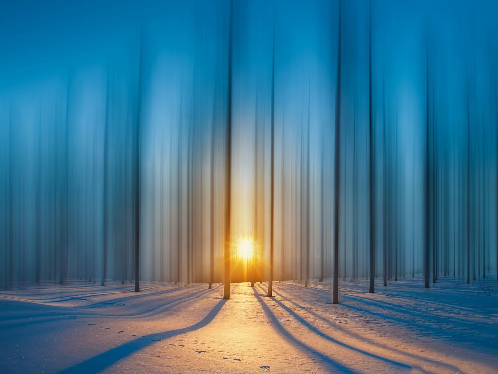 Free Images : tree, forest, mountain, snow, winter, sunrise, sunset, countryside, sunlight ...