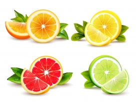 柑橘类水果素材