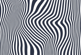 黑白斑马对角线波背景