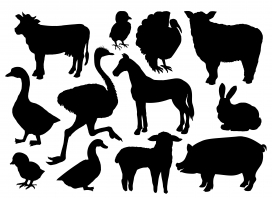 农场家禽牲畜动物黑白剪影素材