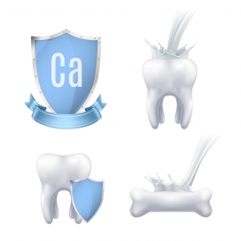 牙齿钙保护矢量素材