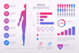多彩人体解剖医疗信息图表包
