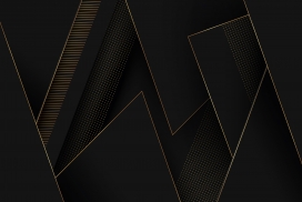 有金色细节的黑金背景矢量图