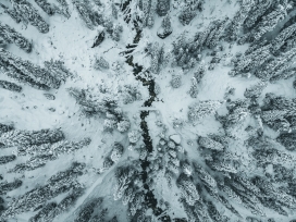 高空俯拍的冬季森林