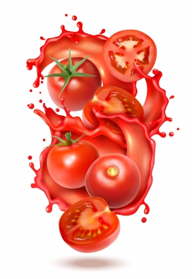 西红柿番茄酱素材