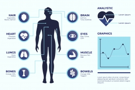 人体结构医学挂图素材