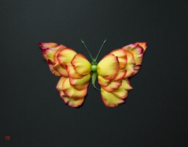 Natura Wildlife-纳图拉野生动物-花卉植物拼成的动物