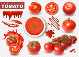 新鲜的西红柿水果素材