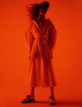 蕾安·范·隆佩-W杂志